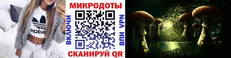 Купить где  Афипский  Галлюциногенные грибы прущие грибы 
